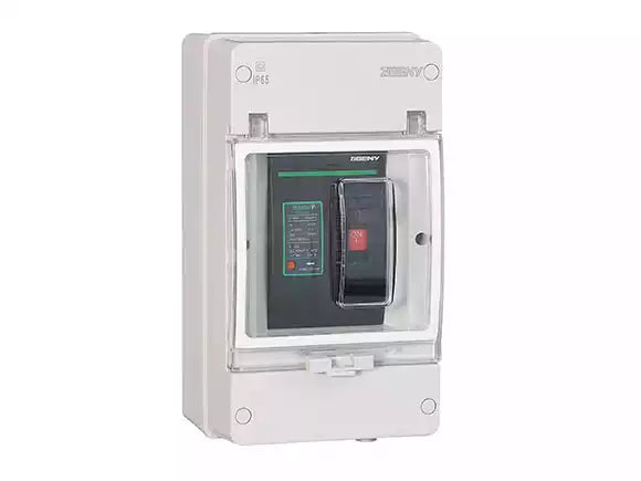 2P DC Moulded Case Circuit Breaker (BDM series, 500V DC)