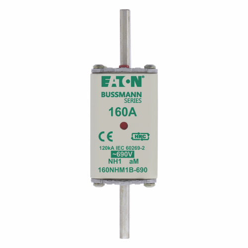 NH1 aM Fuse (Size 1, 690V AC)