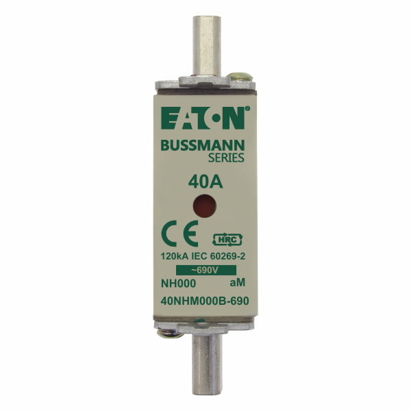 NH000 aM Fuse (Size 000, 690V AC)